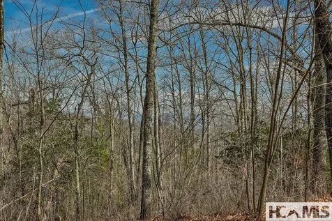 82&83 Waterdance Drive Tuckasegee NC 28783
