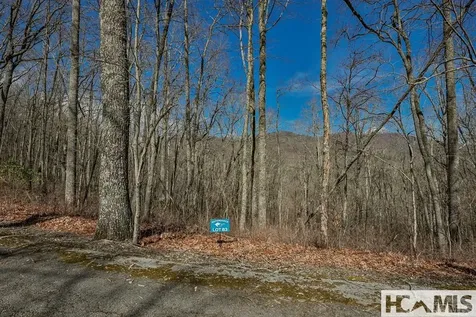82&83 Waterdance Drive Tuckasegee NC 28783