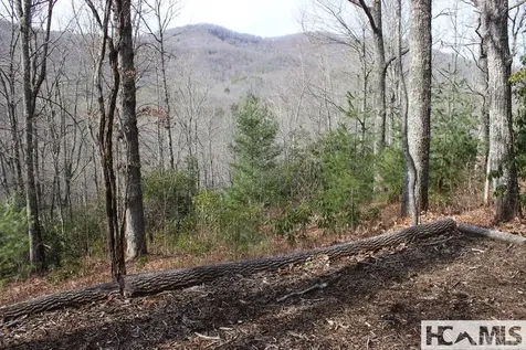 82&83 Waterdance Drive Tuckasegee NC 28783