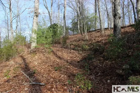 82&83 Waterdance Drive Tuckasegee NC 28783
