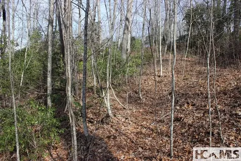 82&83 Waterdance Drive Tuckasegee NC 28783