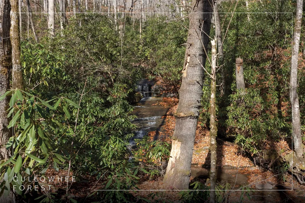 Lot 47 Cullowhee Forest Road Cullowhee NC 28723