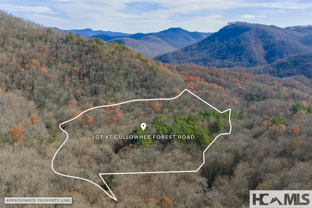Lot 47 Cullowhee Forest Road Cullowhee NC 28723
