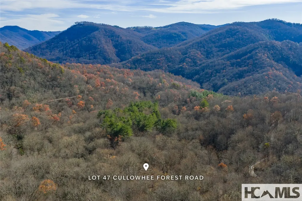 Lot 47 Cullowhee Forest Road Cullowhee NC 28723
