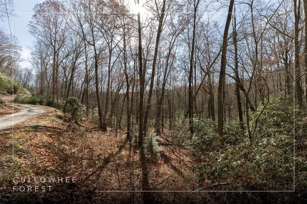 Lot 47 Cullowhee Forest Road Cullowhee NC 28723