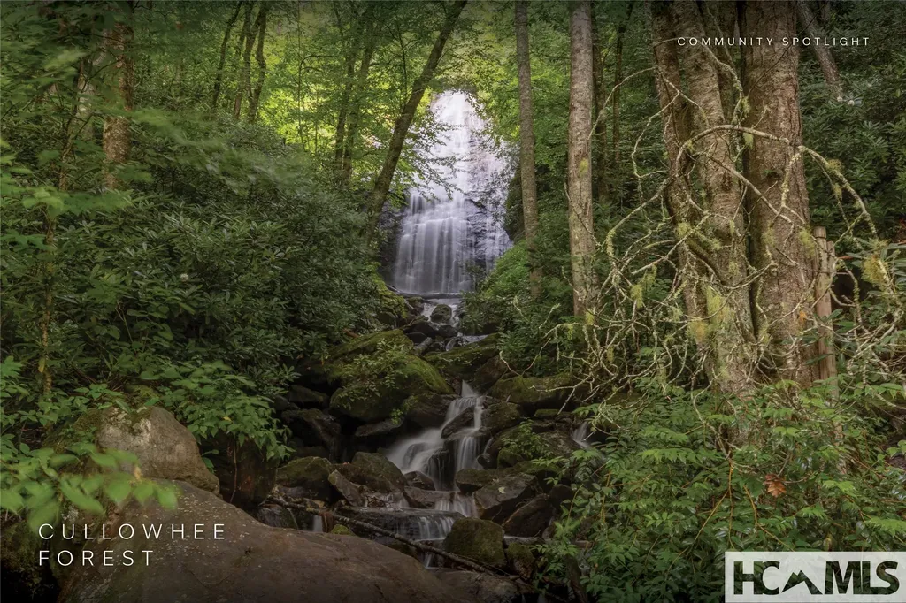 Lot 47 Cullowhee Forest Road Cullowhee NC 28723