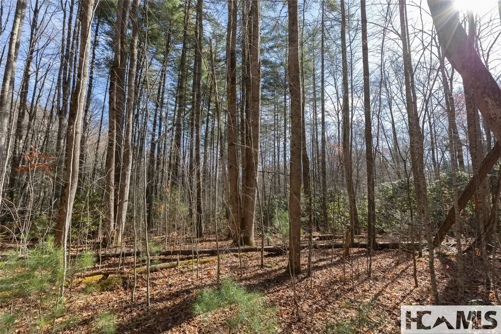 Lot 47 Cullowhee Forest Road Cullowhee NC 28723