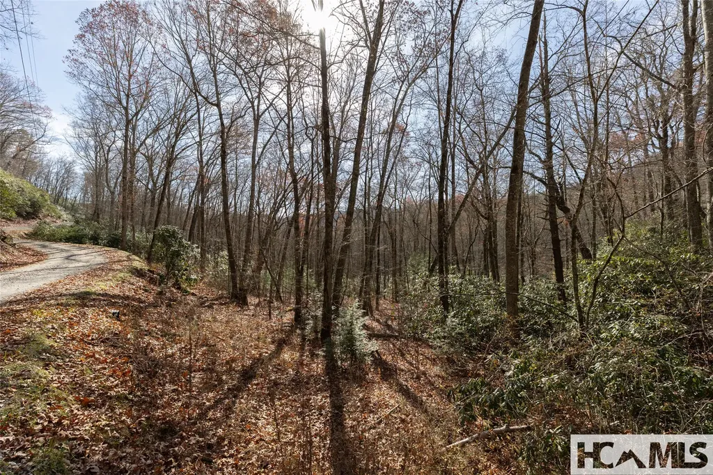 Lot 47 Cullowhee Forest Road Cullowhee NC 28723