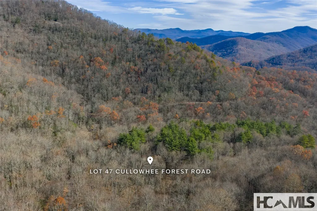 Lot 47 Cullowhee Forest Road Cullowhee NC 28723