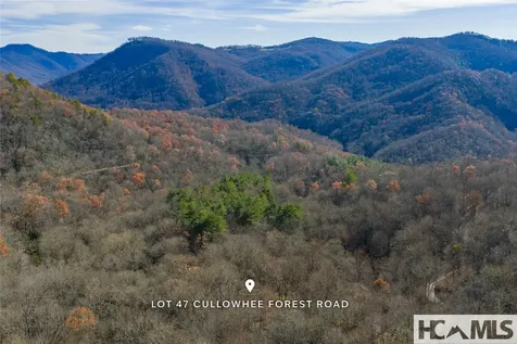 Lot 47 Cullowhee Forest Road Cullowhee NC 28723