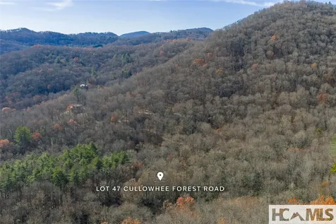 Lot 47 Cullowhee Forest Road Cullowhee NC 28723