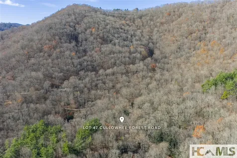 Lot 47 Cullowhee Forest Road Cullowhee NC 28723
