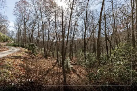 Lot 47 Cullowhee Forest Road Cullowhee NC 28723