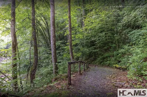 Lot 47 Cullowhee Forest Road Cullowhee NC 28723