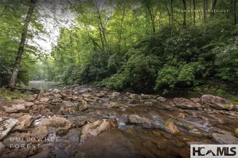 Lot 47 Cullowhee Forest Road Cullowhee NC 28723