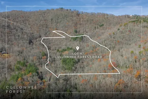 Lot 47 Cullowhee Forest Road Cullowhee NC 28723
