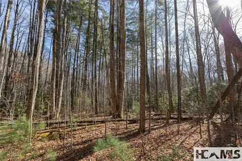 Lot 47 Cullowhee Forest Road Cullowhee NC 28723