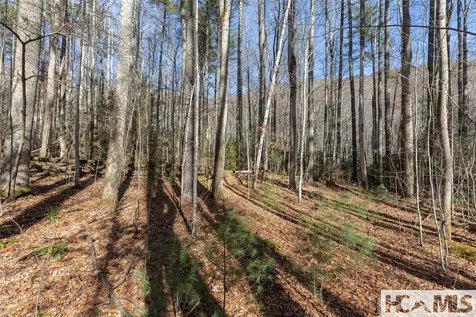Lot 47 Cullowhee Forest Road Cullowhee NC 28723