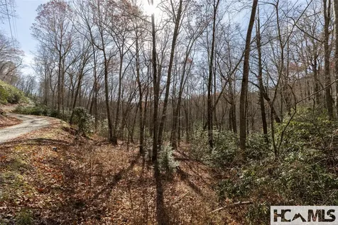 Lot 47 Cullowhee Forest Road Cullowhee NC 28723