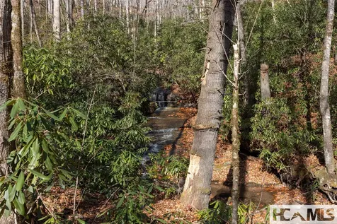 Lot 47 Cullowhee Forest Road Cullowhee NC 28723