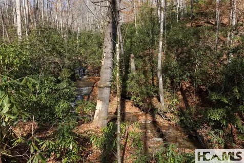 Lot 47 Cullowhee Forest Road Cullowhee NC 28723