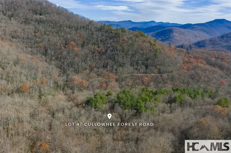 Lot 47 Cullowhee Forest Road Cullowhee NC 28723