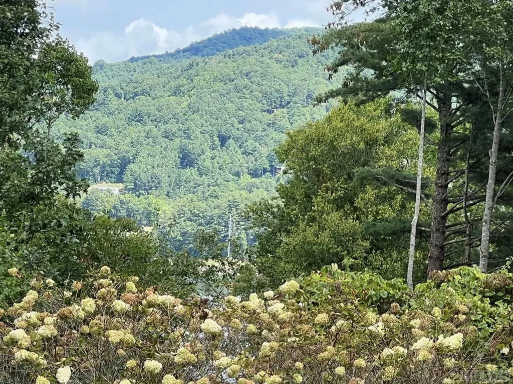 738 Fenley Forest Trail Cullowhee NC 28723