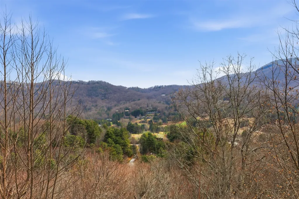 119 Buttermilk Circle Sky Valley GA 30537
