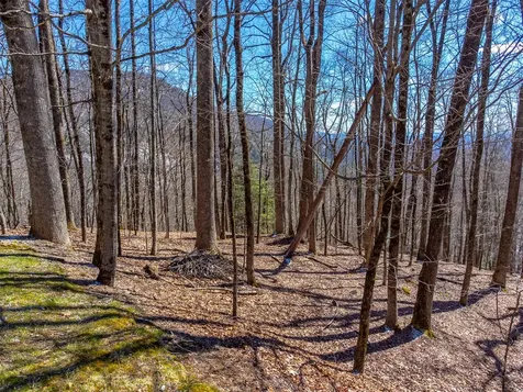 1848 Trays Island Road Sapphire NC 28774