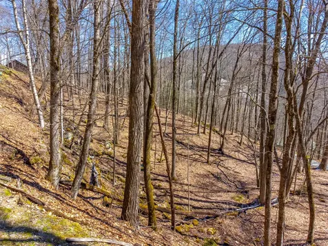 1848 Trays Island Road Sapphire NC 28774