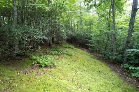 1783 W. Cliff Road Cullowhee NC 28723