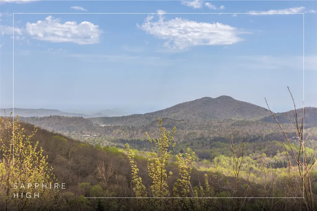 1506 Tower Road Sapphire NC 28774