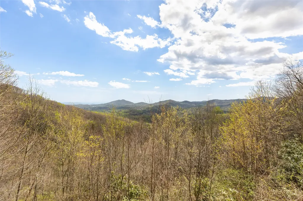 1506 Tower Road Sapphire NC 28774