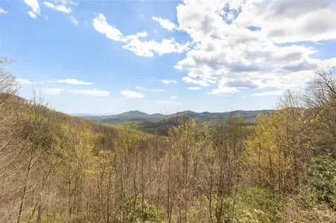 1506 Tower Road Sapphire NC 28774