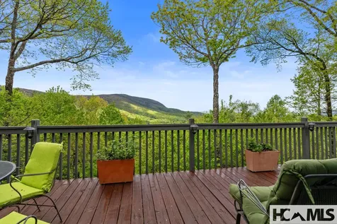 151 Birdnest Sapphire NC 28774