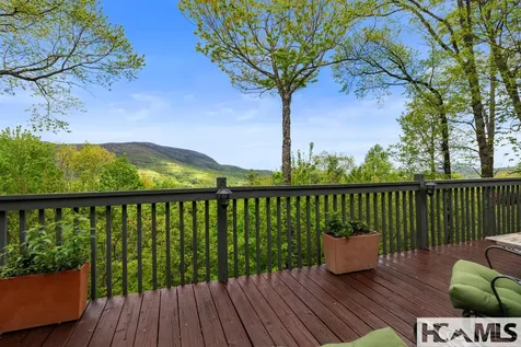 151 Birdnest Sapphire NC 28774