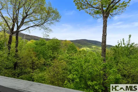 151 Birdnest Sapphire NC 28774