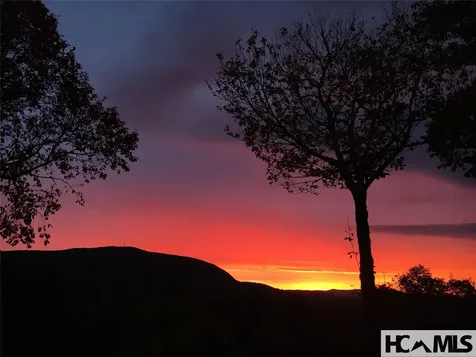 151 Birdnest Sapphire NC 28774