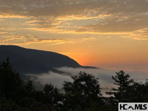 151 Birdnest Sapphire NC 28774