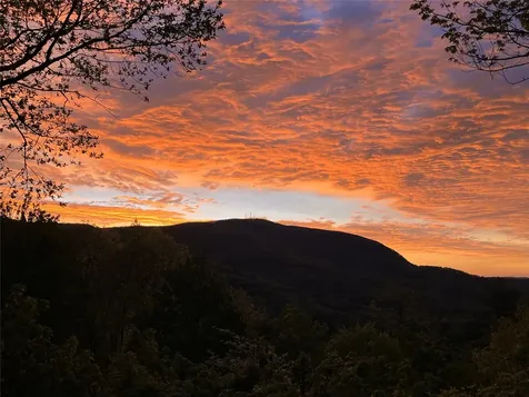 151 Birdnest Sapphire NC 28774