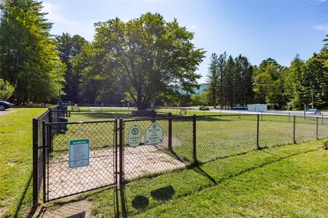 151 Birdnest Sapphire NC 28774