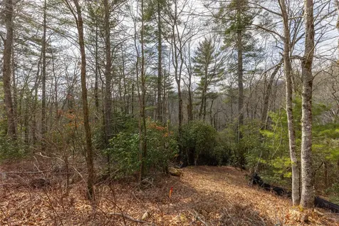 Lot 3 Norton Ridge Cashiers NC 28717