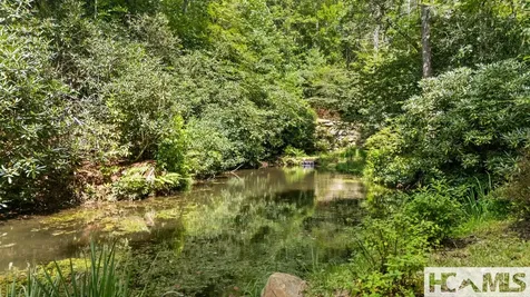 332 Streamside Drive Cashiers NC 28717