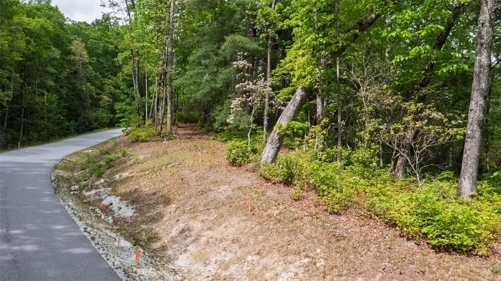 Lt 162 Lonesome Valley Road Sapphire NC 28774