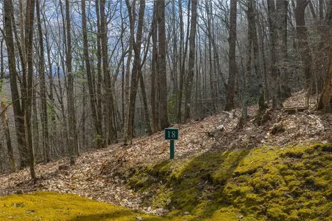 Lot 18 Piney Knob Trail Cullowhee NC 28723
