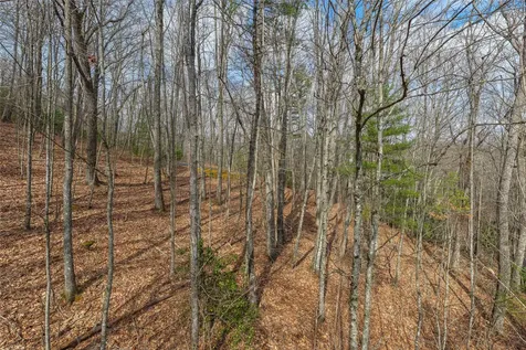 Lot 18 Piney Knob Trail Cullowhee NC 28723