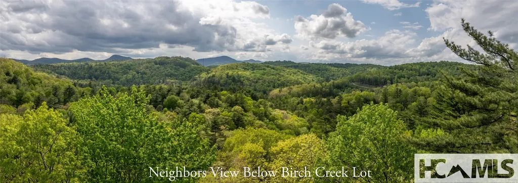 Tbd Birch Creek Trail Cashiers NC 28717