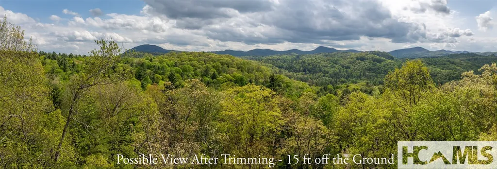 Tbd Birch Creek Trail Cashiers NC 28717