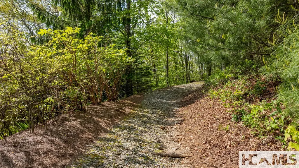 Tbd Birch Creek Trail Cashiers NC 28717