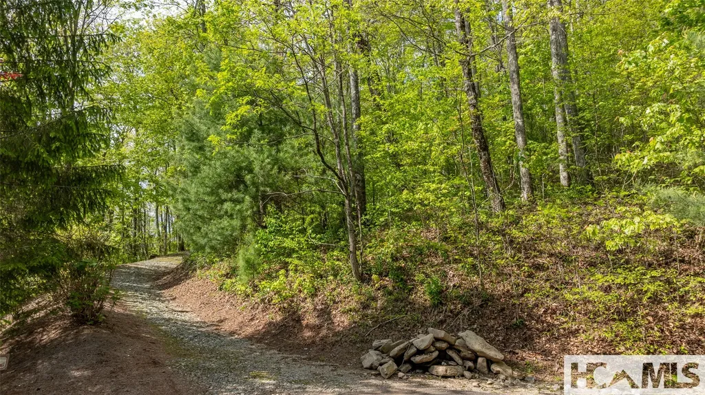 Tbd Birch Creek Trail Cashiers NC 28717